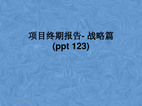 项目终期报告- 战略篇(ppt 123)