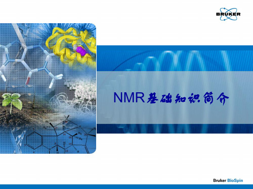 NMR基础知识简介