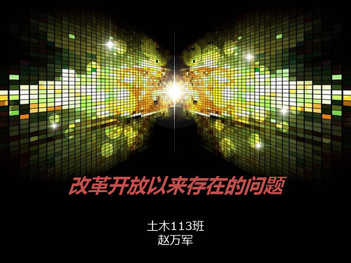 改革开放以来存在的问题