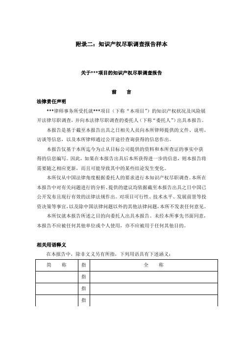 附录二知识产权尽职调查报告