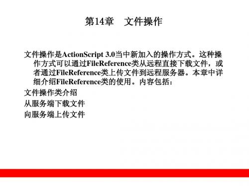 第14章  文件操作