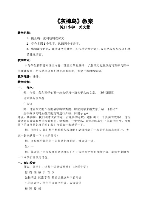 灰椋鸟公开课教案