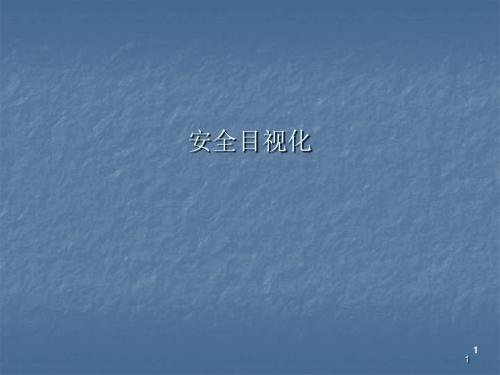 安全目视化ppt课件