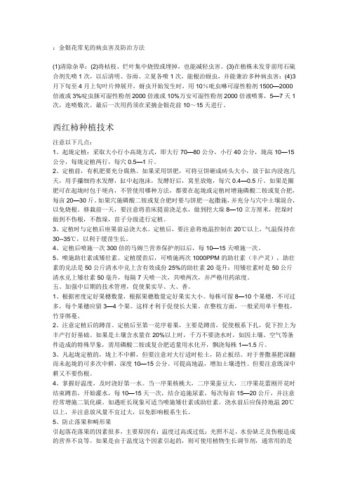 金银花常见的病虫害及防治方法