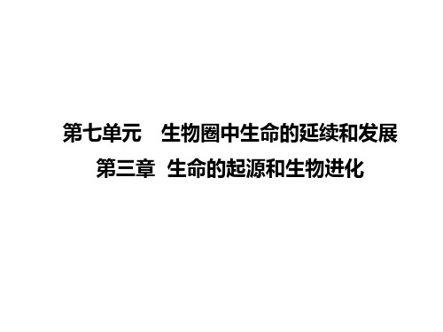 人教版生物八下第三章《生命的起源和生物进化》综合复习课件(共35张PPT)