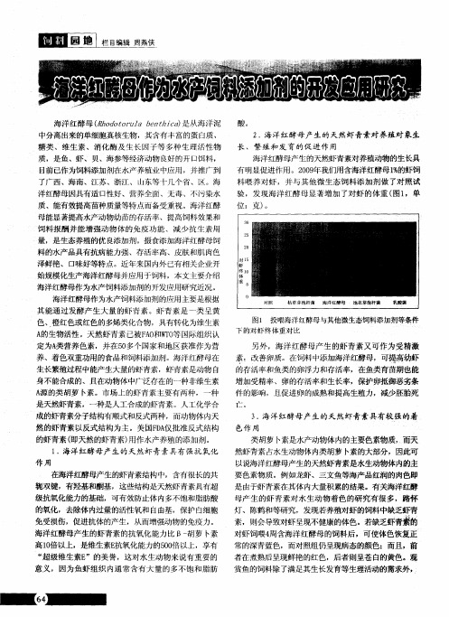 海洋红酵母作为水产饲料添加剂的开发应用研究