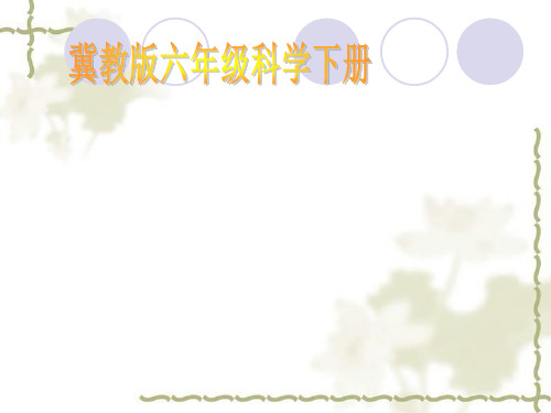 六年级下册科学课件4 人体的组合 冀教版 (共13页)PPT