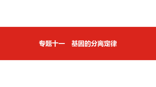 2019版高考生物一轮复习名师课件：第五单元专题十一 基因的分离定律 (共86张PPT)
