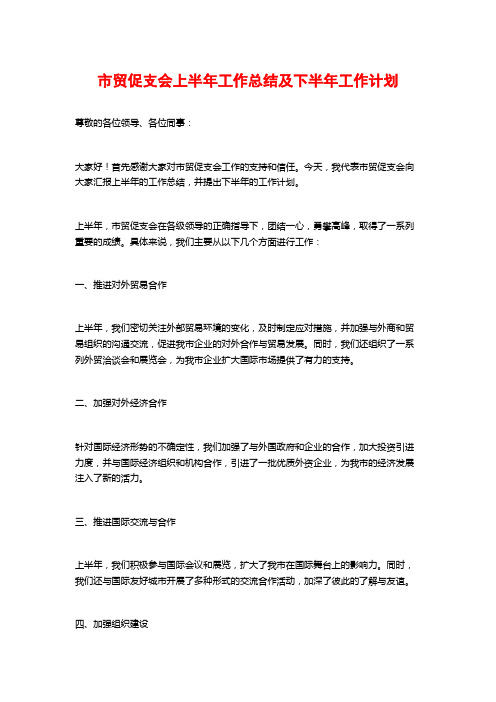 市贸促支会上半年工作总结及下半年工作计划