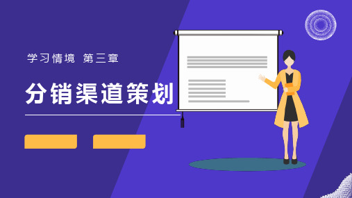 市场营销策划第四版 教学PPT3