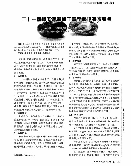 二十一圃膜下滴灌加工番茄栽培技术要点