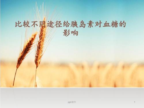 比较不同途径给胰岛素对血糖的影响  ppt课件