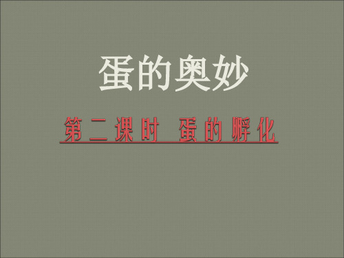 三年级科学下册蛋的奥妙第二课时 孵化技术 PPT课件