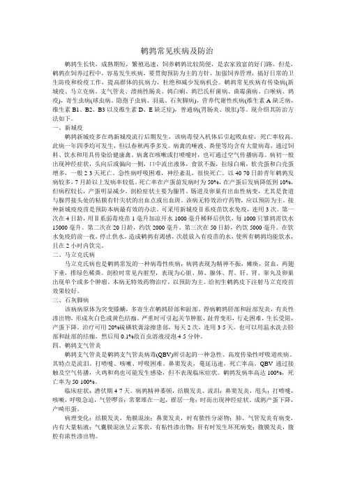 鹌鹑常见疾病