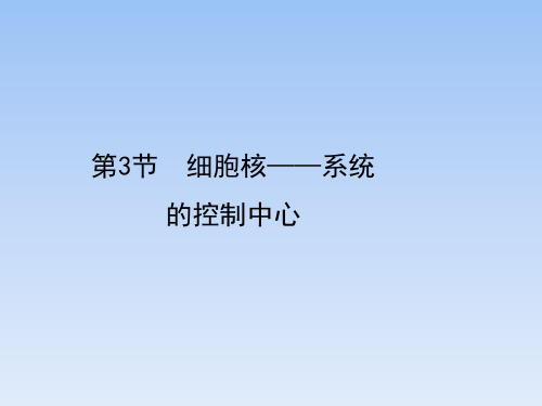 人教课标版高中生物必修1《细胞核——系统的控制中心》优秀课件