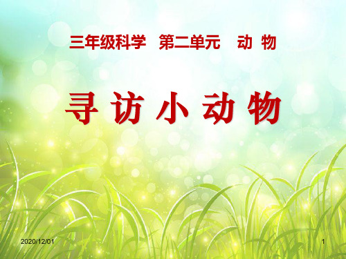 小学三年级上册科学《寻访小动物》动物PPT精品课件