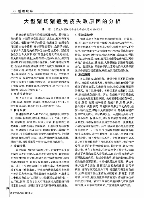 大型猪场猪瘟免疫失败原因的分析