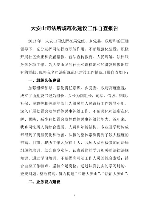 大安山司法所规范化建设工作自查报告