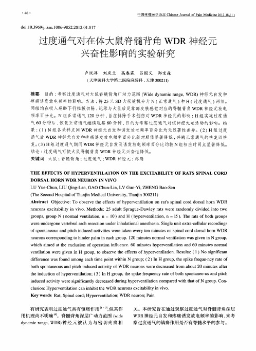 过度通气对在体大鼠脊髓背角WDR神经元兴奋性影响的实验研究