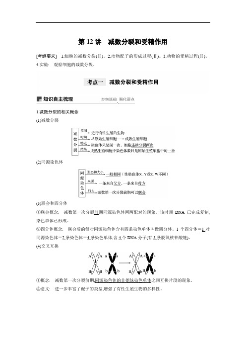 高2021届高2018级高三生物一轮复习课件学案第四单元 第12讲