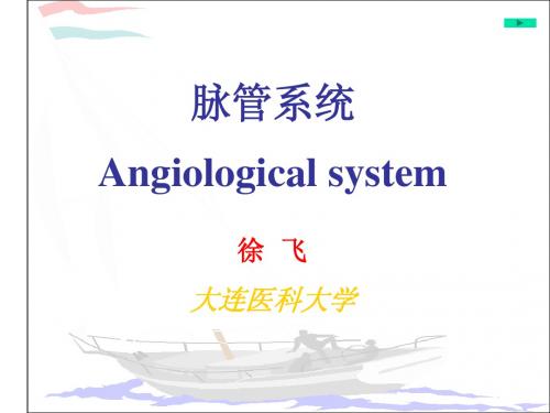 圣才学习网脉管系统1