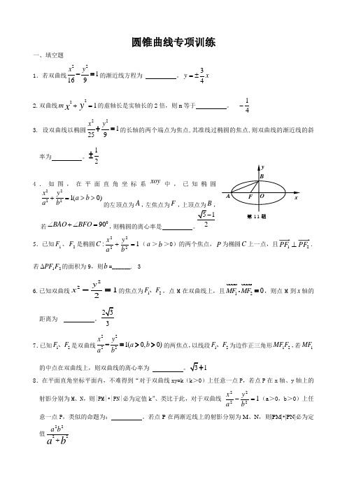 高二期末考试圆锥曲线专项训练