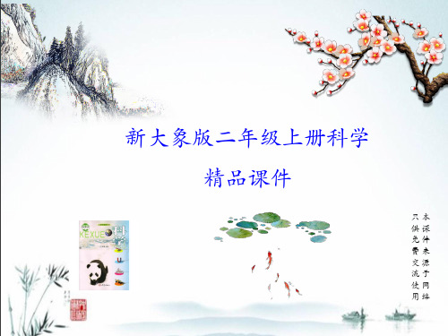 大象版二年级上册科学《两极指南北》教学课件