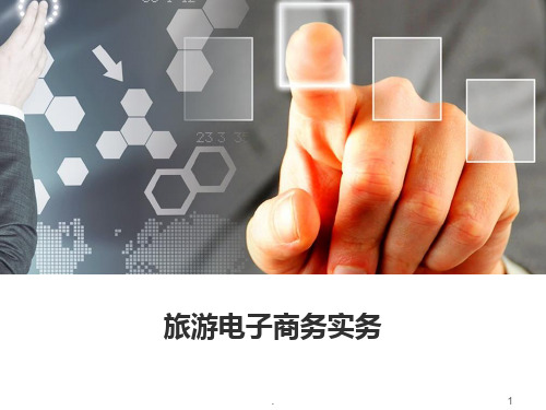旅游电子商务实务
