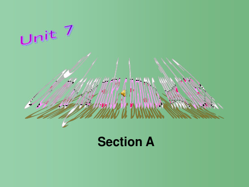 八年级英语上册《 Unit7 Section B Period 2》课件 人教新目标版