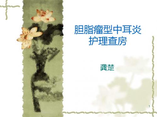 胆脂瘤中耳炎护理查房 PPT课件