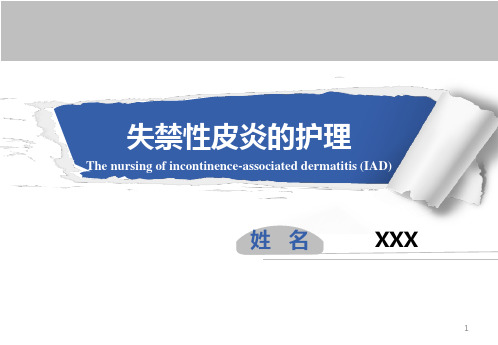 失禁性皮炎的护理 PPT课件