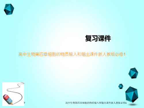 高中生物第四章细胞的物质输入和输出课件新人教版必修1