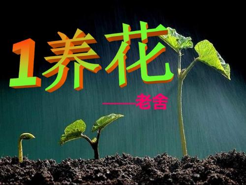 六年级下册语文优质课件-综合复习1 养花 _人教新课标