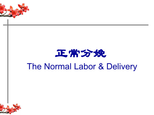 妇产课件：正常分娩