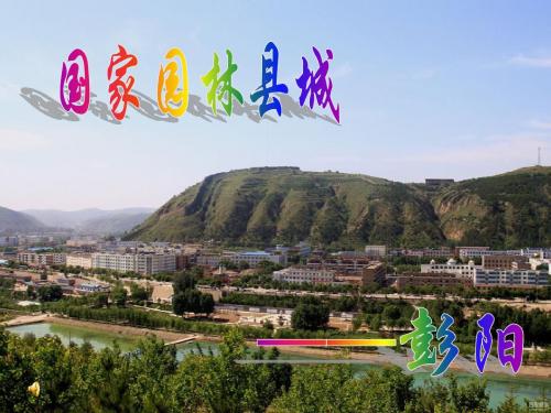 宁夏彭阳
