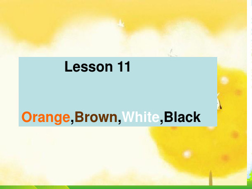冀教版英语三年级上册Lesson 11-Orange,Brown,White,Black 2-优课件