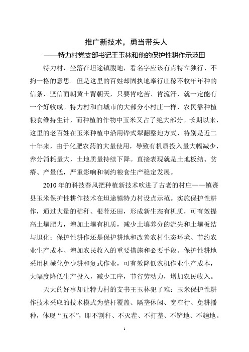 保护性耕作事迹材料
