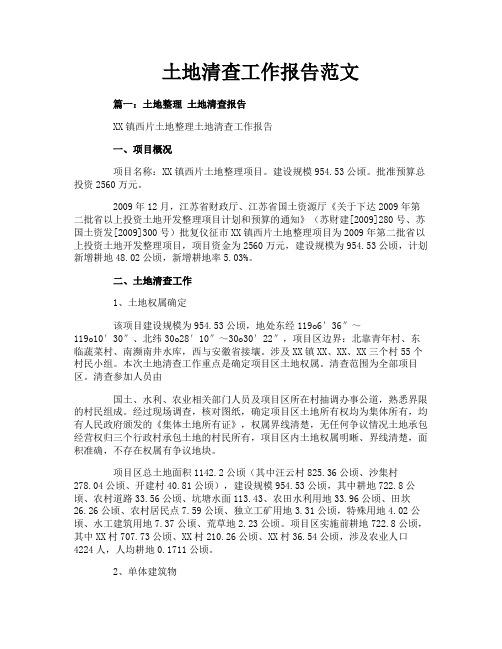 土地清查工作报告范文