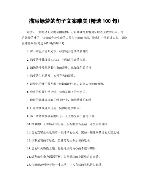 描写绿萝的句子文案唯美(精选100句)