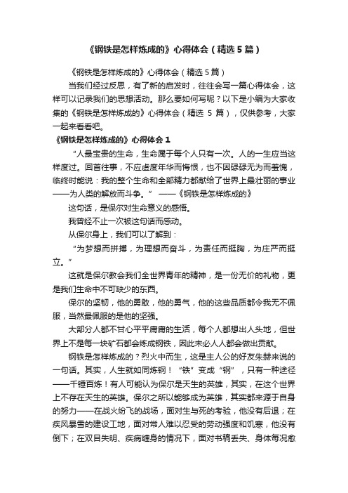 《钢铁是怎样炼成的》心得体会（精选5篇）
