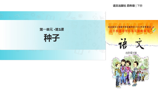 四年级下册语文课件1种子∣语文S版 (共29张PPT)