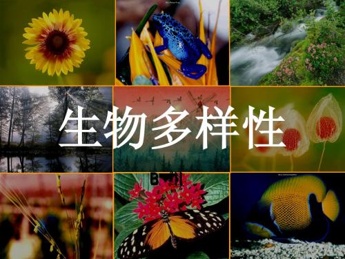 八上15,1.2生物多样性及其保护