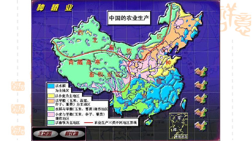 [高三地理课件]区域农业发展