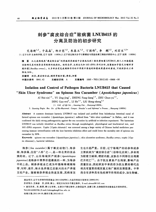 刺参“腐皮综合症”致病菌LNUB415的分离及防治的初步研究