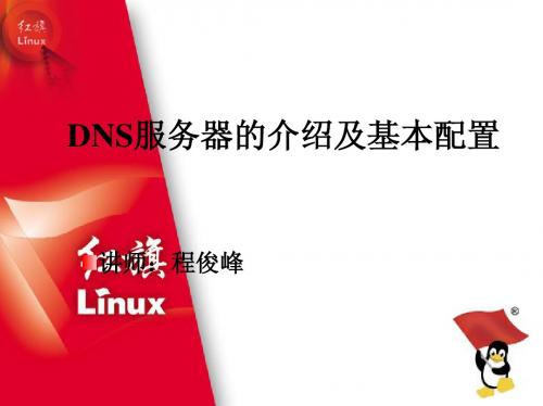 DNS服务配置