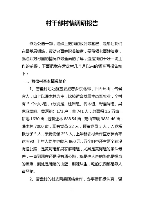 村情调研报告