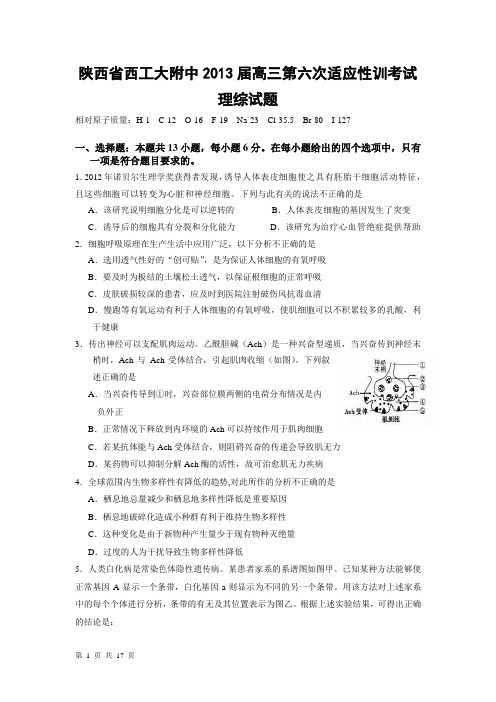 陕西省西工大附中2013届高三第六次适应性训考试理综试题