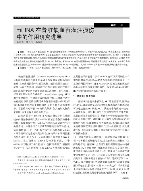 miRNA在肾脏缺血再灌注损伤中的作用研究进展