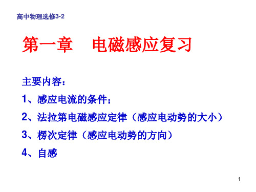 电磁感应复习课ppt课件