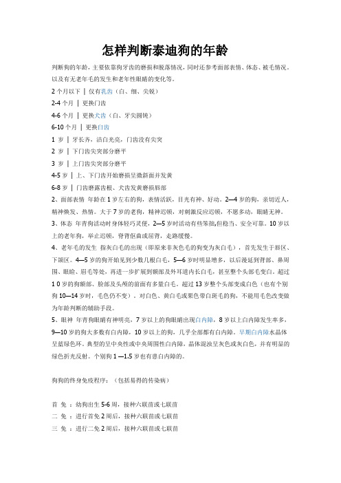 怎样判断泰迪狗的年龄